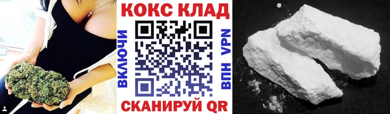 Купить где  Ульяновск  COCAIN Fish Scale 