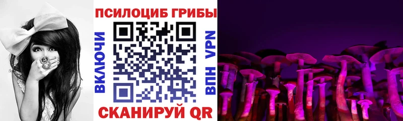 Псилоцибиновые грибы мицелий  Купить  Ульяновск 